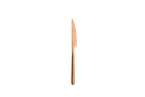 COUTEAU DE TABLE CANADA VINTAGE CUIVRE