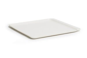 ASSIETTE PLATE ESSENCES 24X24CM