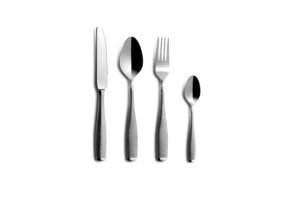 COFFRET 24 FLEUR DE LYS 18/10 INOX